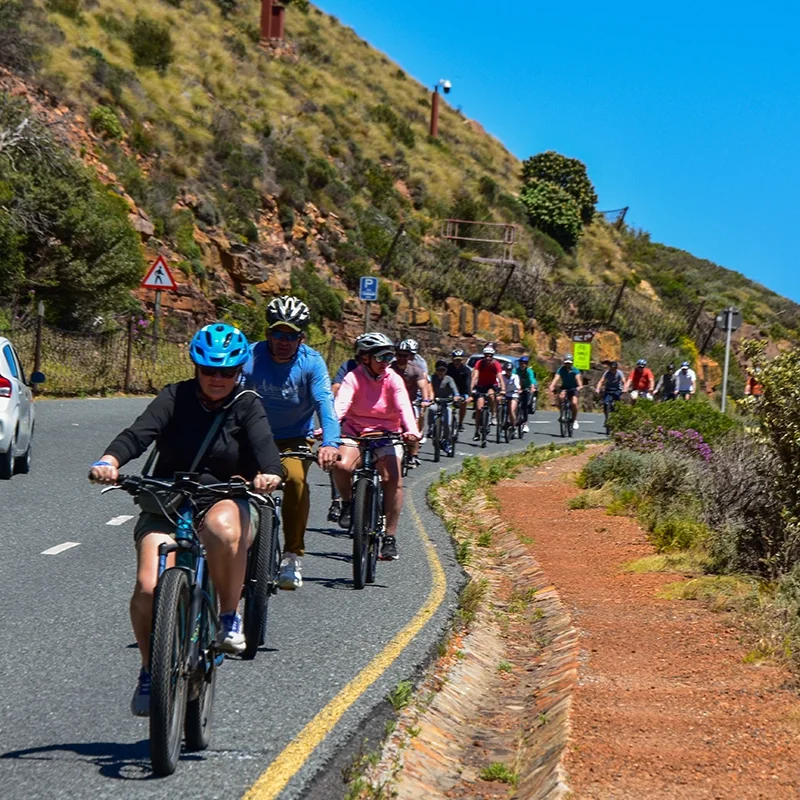 Group cycling on a road in Cape Town