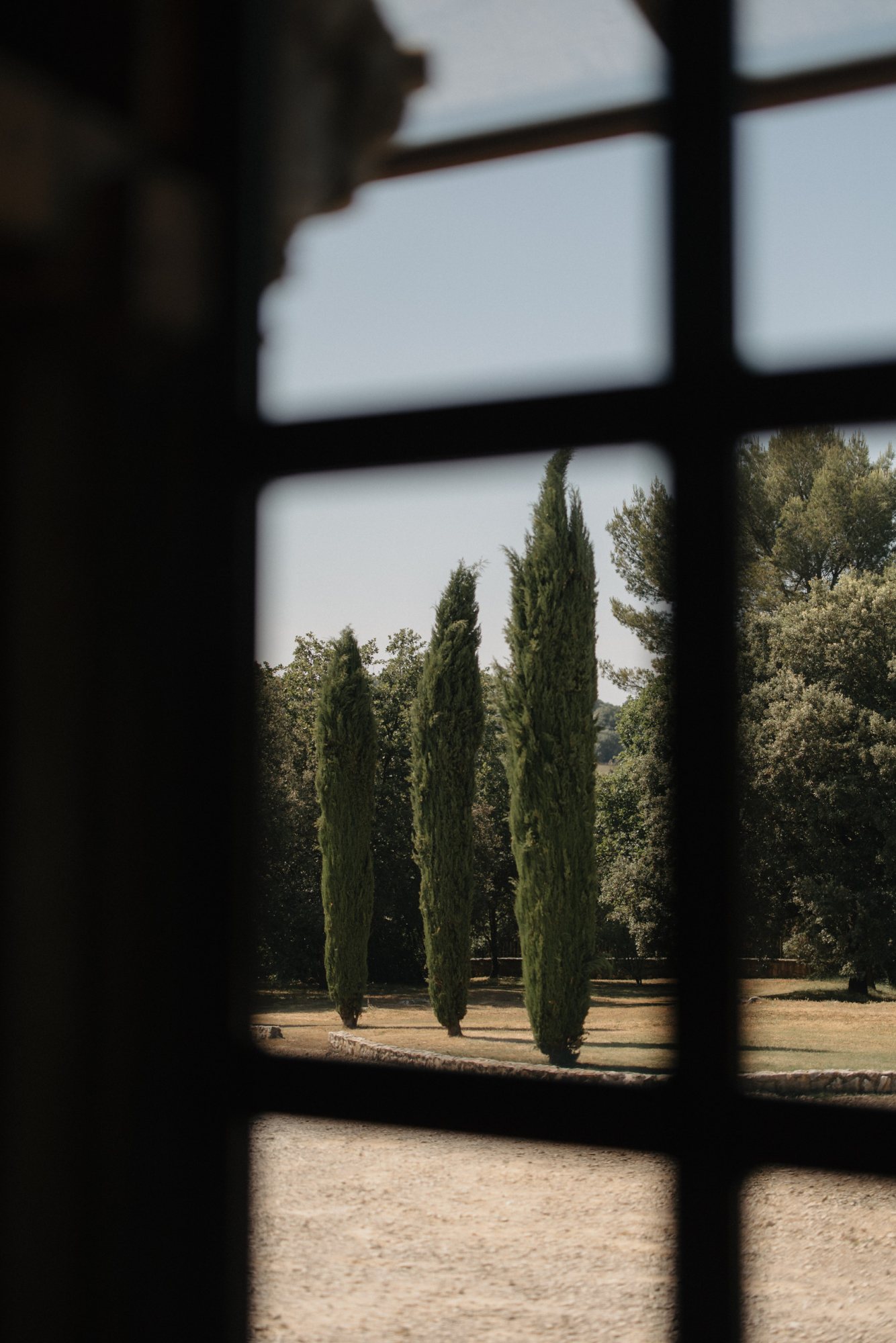 A view of tall trees through a window frame