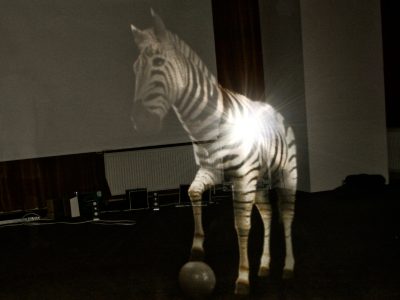 3D hologram of a zebra on stage
