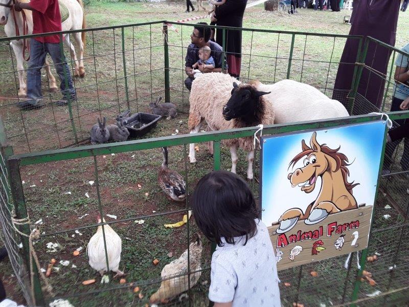 Children at an animal farm with sheep, rabbits, and chickens