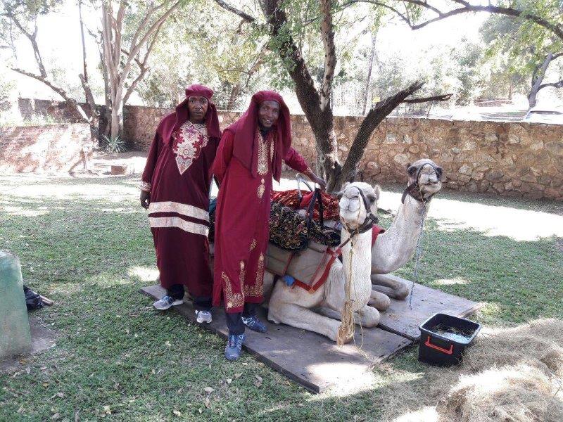 Two men in traditional attire next to a camel on a platform.