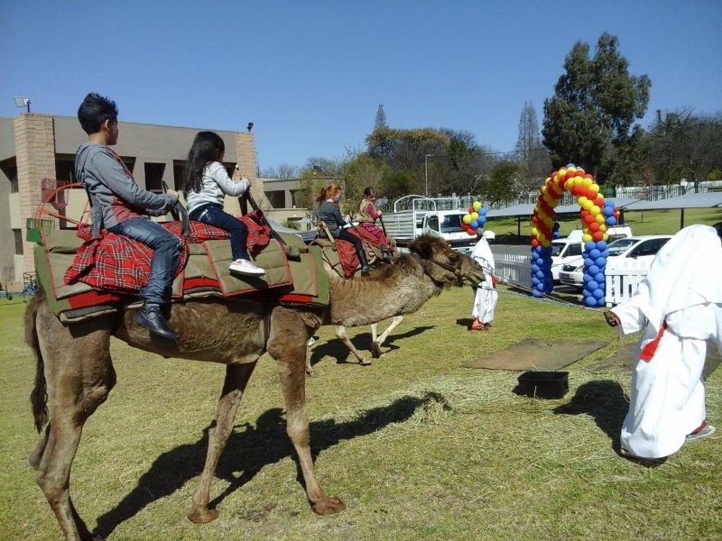 Children riding camels at an outdoor event.