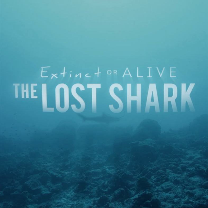 Title graphic for 'The Lost Shark' underwater exploration documentary