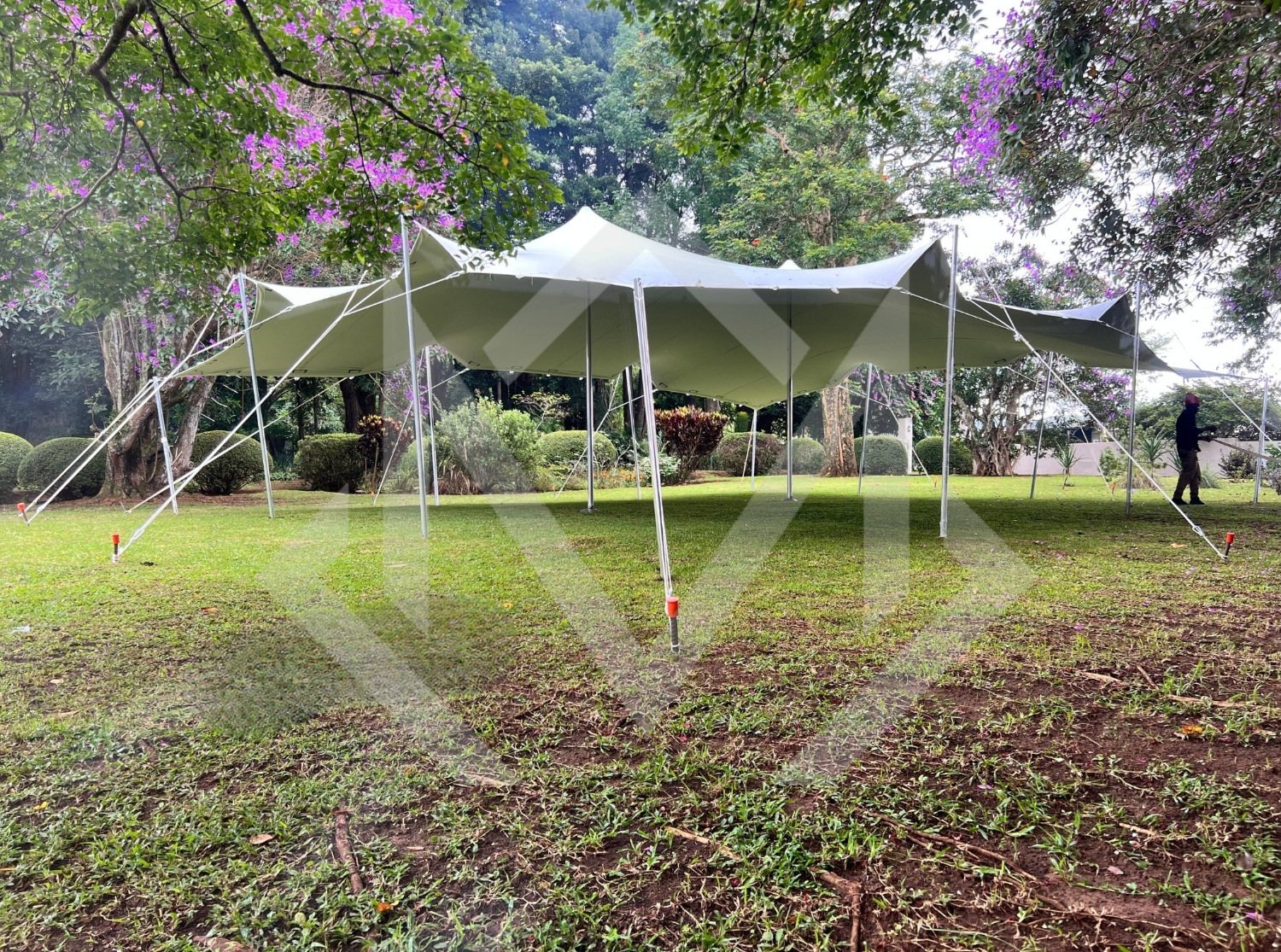 A stretched Bedouin tent in a garden setting.
