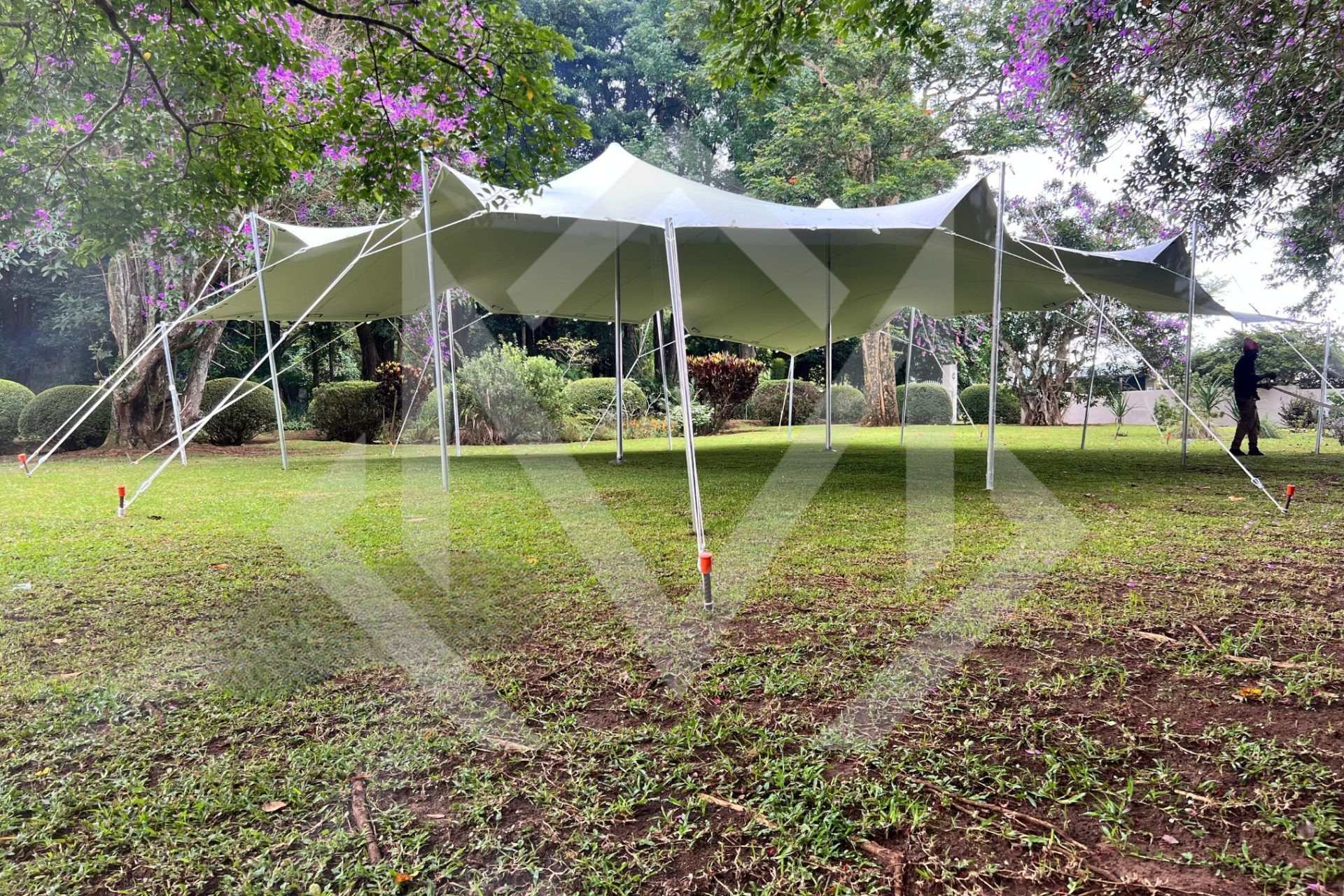 A spacious stretch tent set up in a grassy garden area.