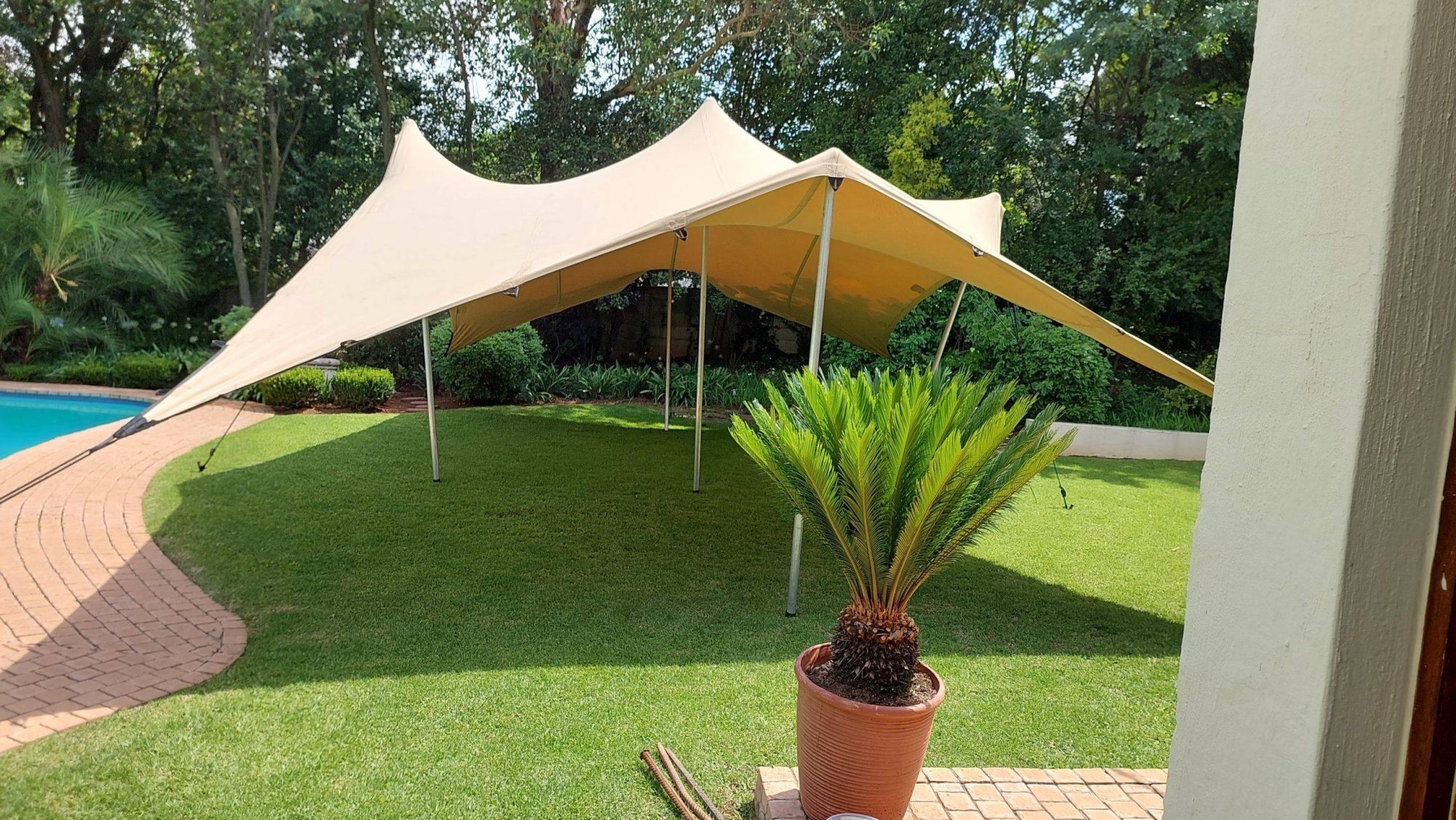 Stretch tent set up outdoors near a pool with greenery