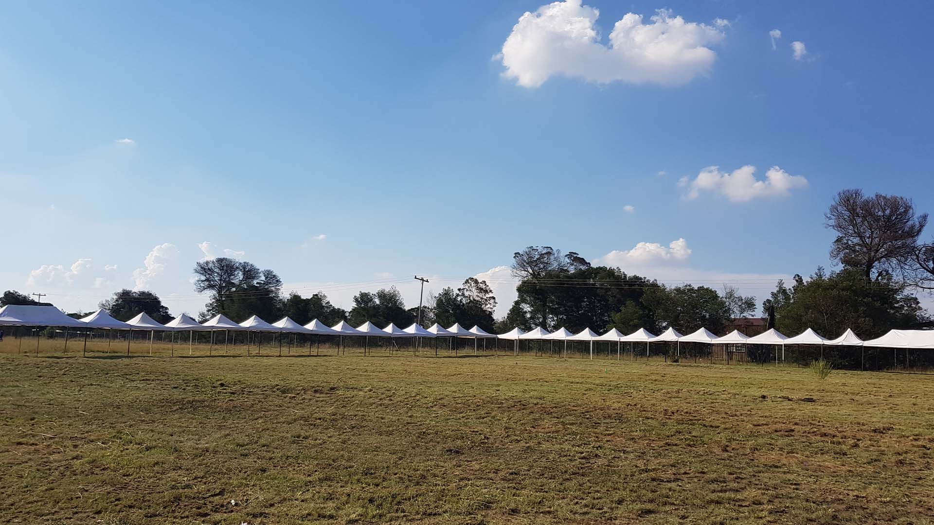Row of white pop-up gazebos in a grassy field