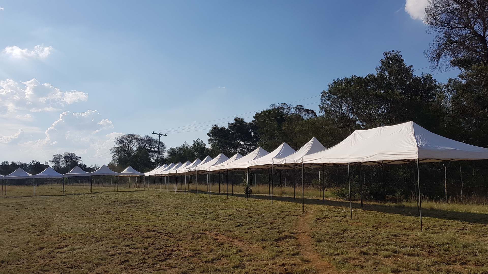 Row of white pop-up gazebos set up in a field