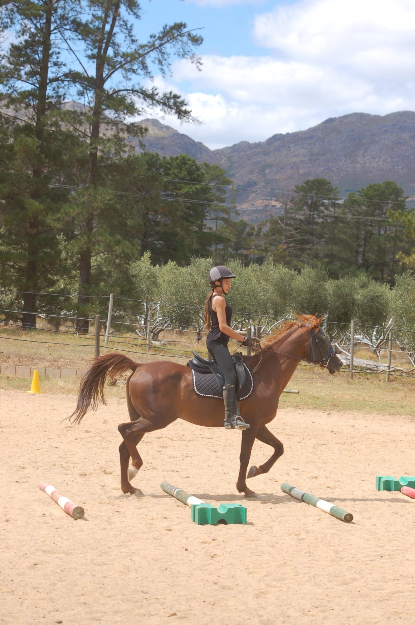 A rider navigating an obstacle course on a horse outdoors