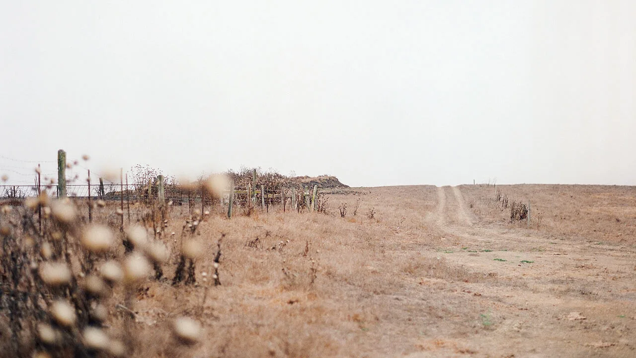 Dry landscape with sparse vegetation and a dirt path in Muldersdrift.