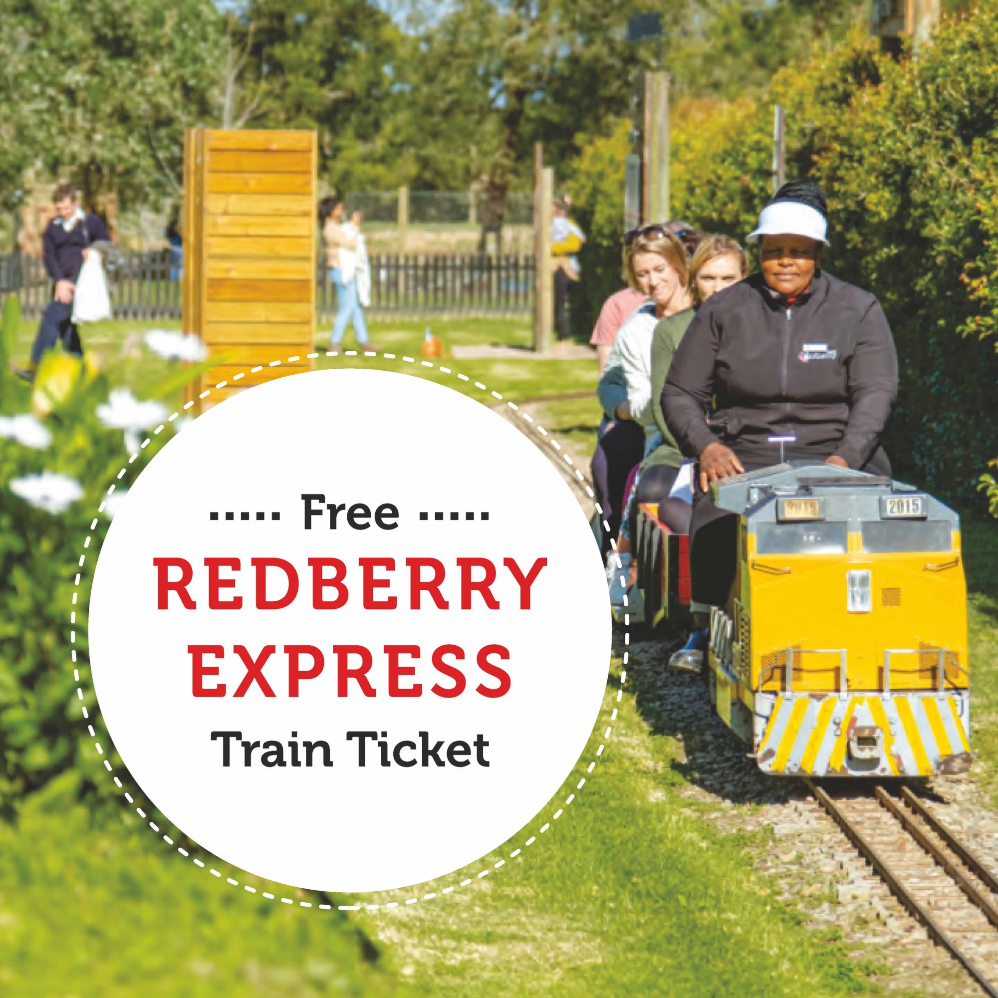 Free Redberry Express train ticket graphic
