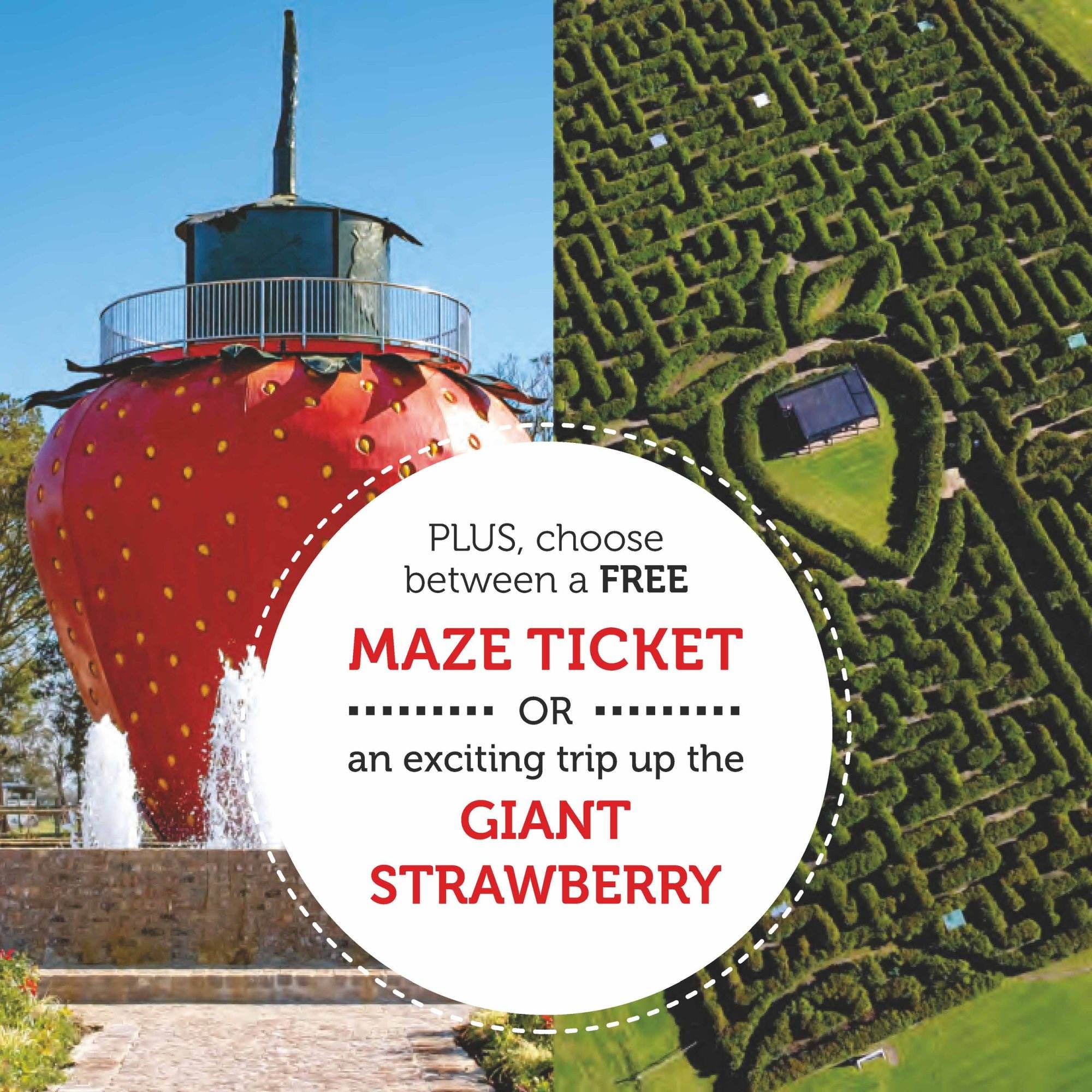 Giant Strawberry structure with maze ticket details