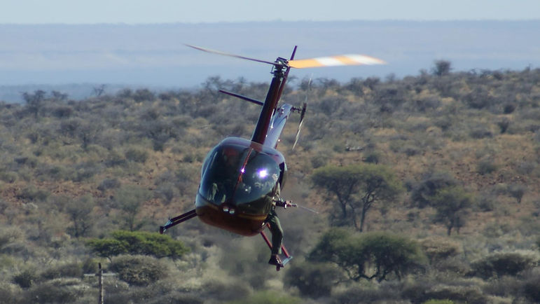 Kriek HelicoptersKriek Helicopters cover image