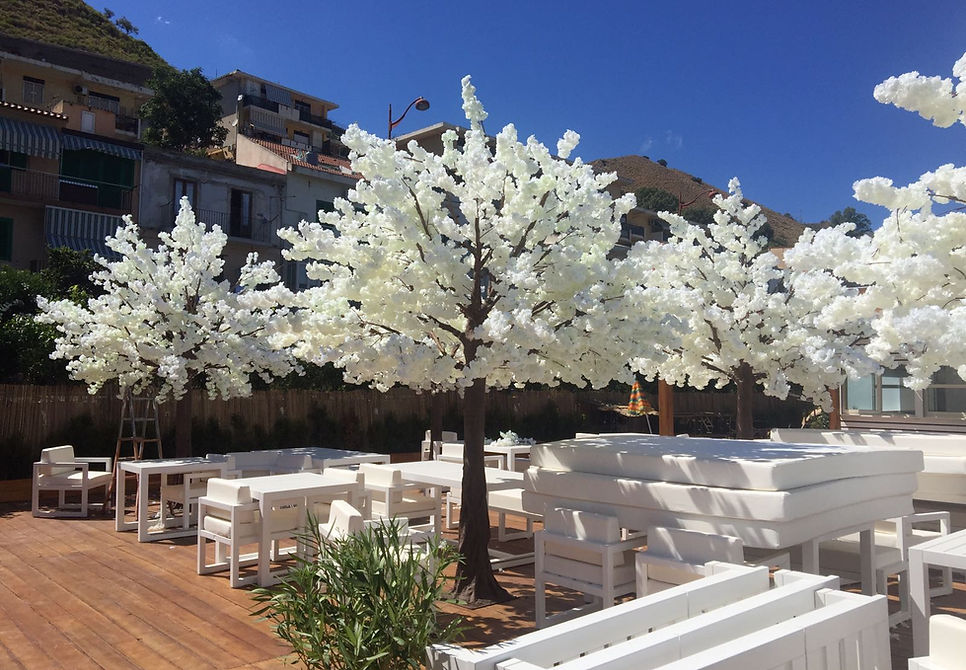 Decorative cherry blossom trees and white furniture set up outdoors.