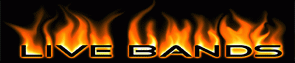 Live Bands- Fire Up Your Entertainment cover image