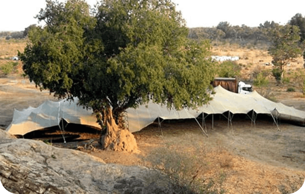 Large marquee tent beside a tree in an outdoor setting