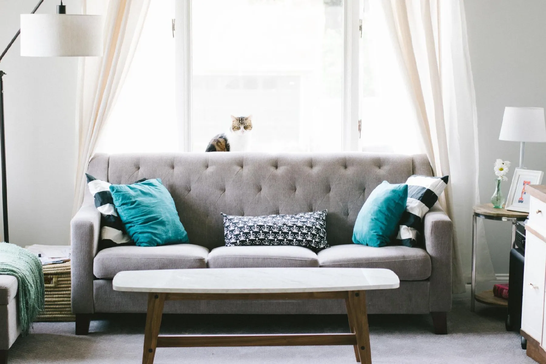 Minimalist lounge area with couch and decorative pillows