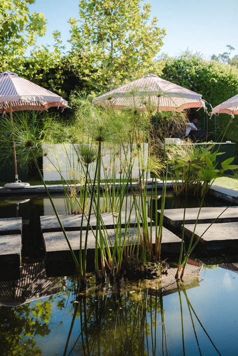 Outdoor garden setup with umbrellas and plants