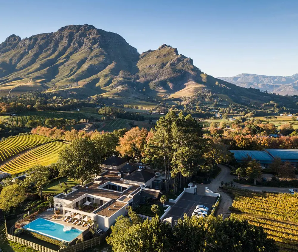 Drone view of a vineyard with mountains in the background