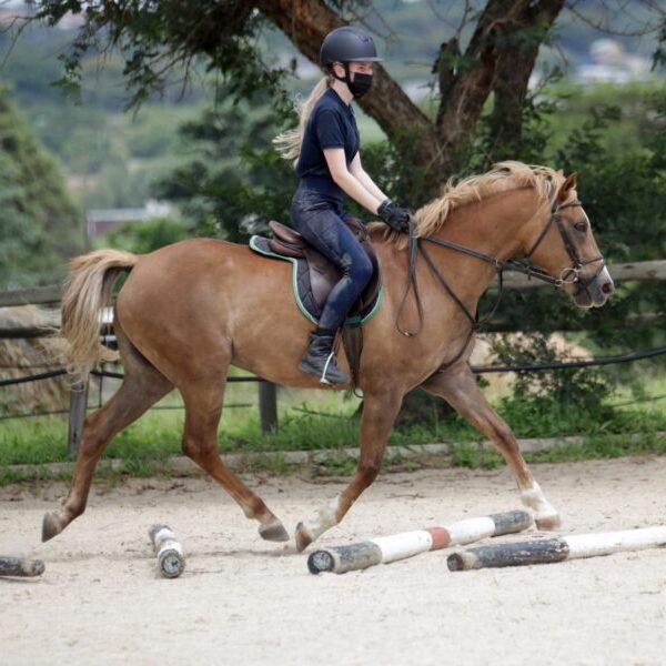 A rider on a horse navigating poles in an outdoor arena
