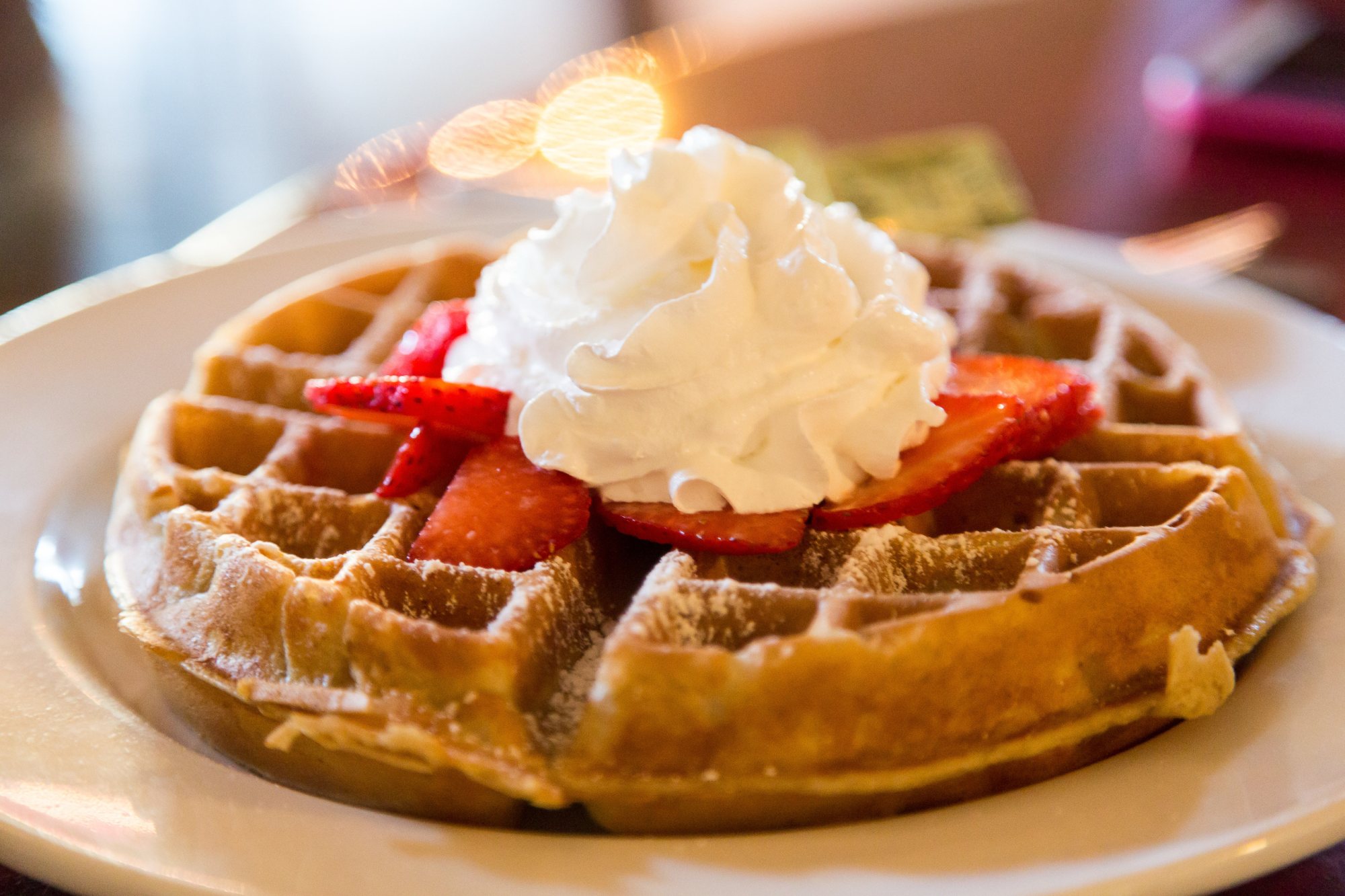 Waffle on a plate with strawberries and whipped cream