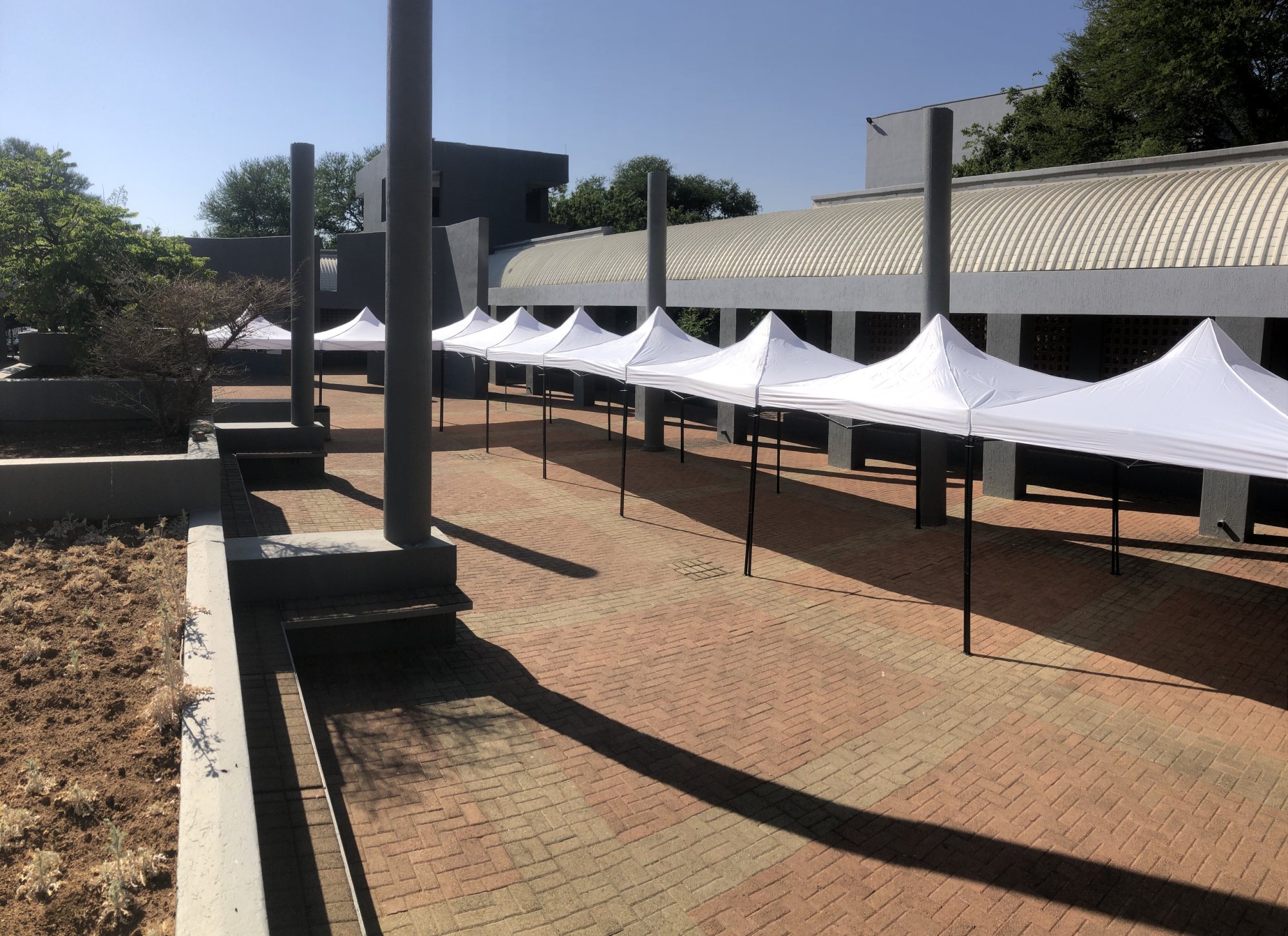 Row of white 3 x 3 metre gazebos set up outdoors
