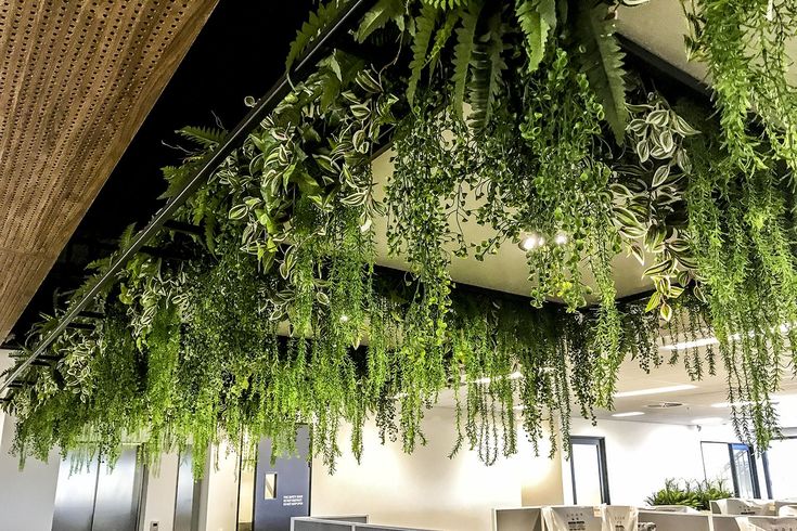 Hanging greenery installation with various lush plants