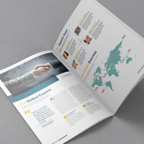 Open brochure showing company profile with handshake and world map.