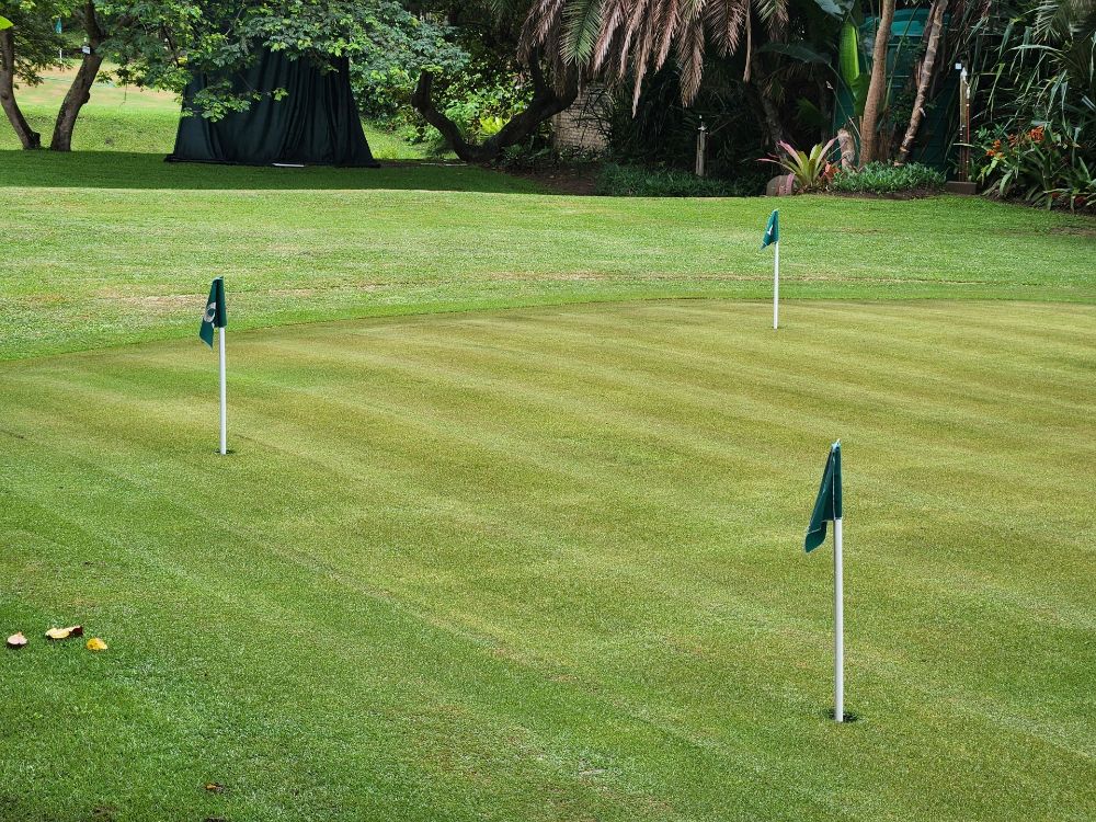 Mini golf area with putting flags on green grass