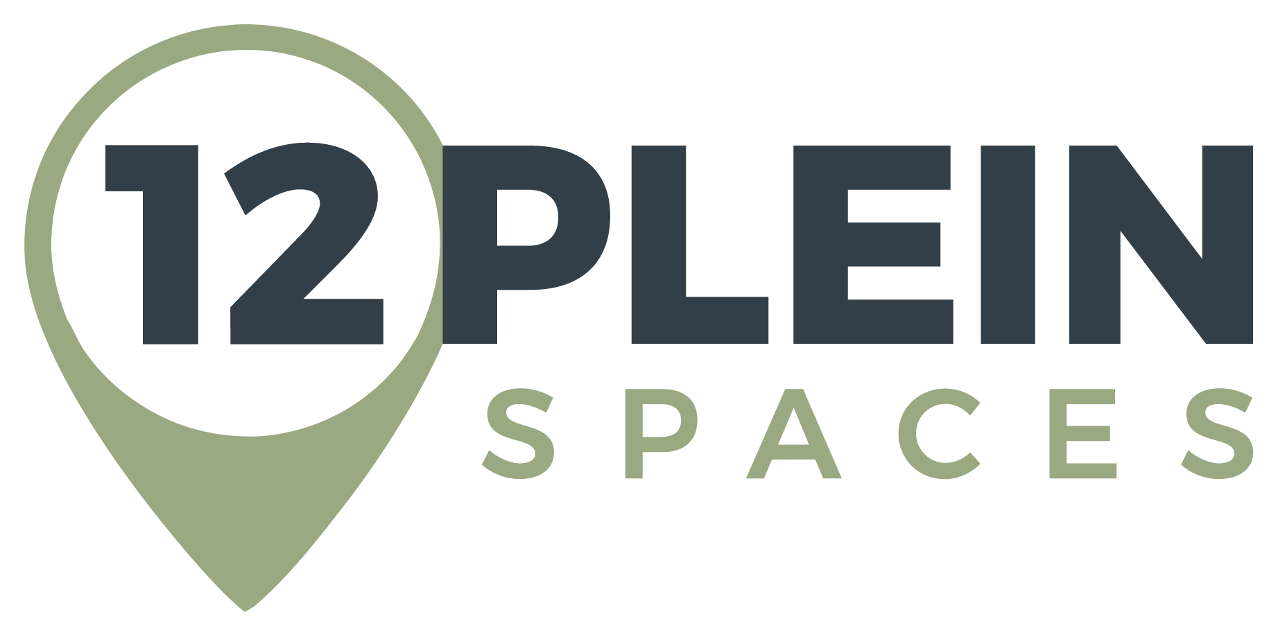 12 Plein logo