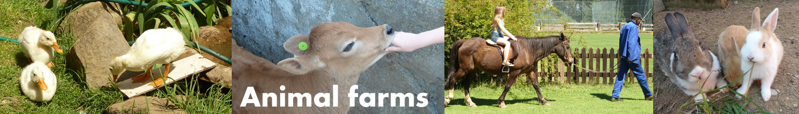 Animal Farms logo