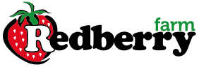 KidsBirthdayParties logo