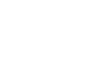 Marriage Officers logo